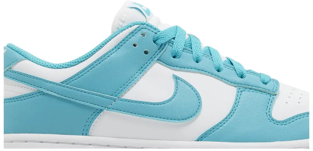 Nike Dunk Low Next Nature 'Dusty Cactus'