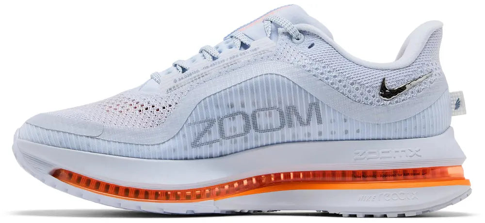 Nike Pegasus Premium 'Airscape'