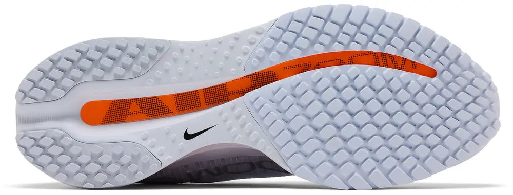 Nike Pegasus Premium 'Airscape'