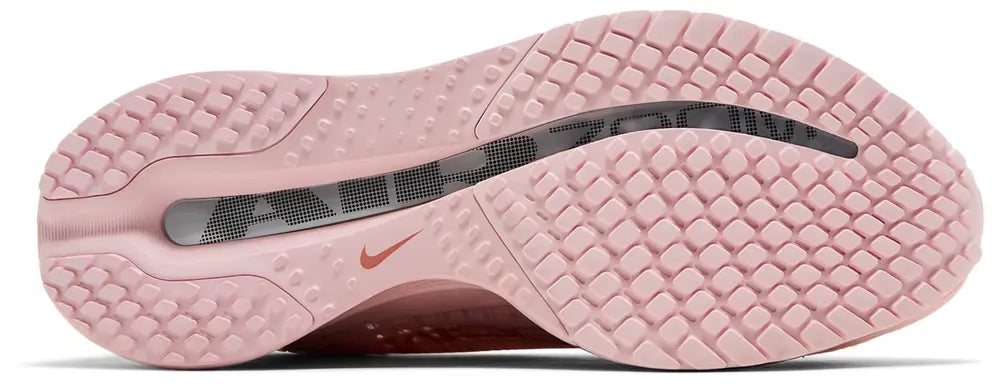 Nike Wmns Pegasus Premium 'Atmosphere'