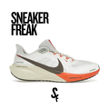 Nike Air Zoom Pegasus 41 'Year of the Snake'