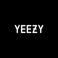 Yeezy 350 v2